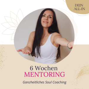 Holistic Soul Coaching und Mentoring Programm - ganzheitlich orientiert