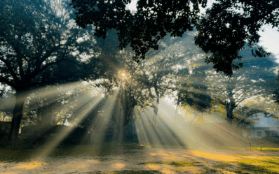 baum licht awakening