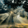 baum licht awakening